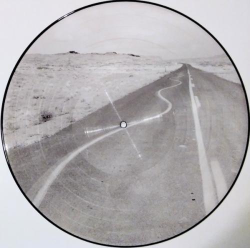 Виниловая пластинка Manic Street Preachers - Critical Thinking (Picture Vinyl LP)