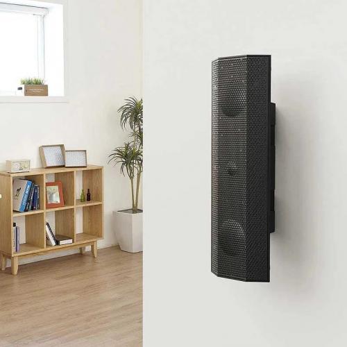 Всепогодная АС Lithe Audio IO1 Wi-Fi - WISA Black (06810W)