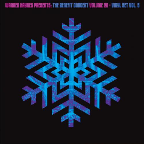 Виниловая пластинка Various Artists - Warren Haynes Presents: The Benefit Concert Volume 20 Vinyl Vol. 3 (Blue Vinyl 2LP)
