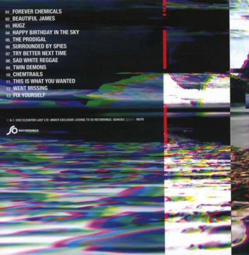 Виниловая пластинка Placebo - Never Let Me Go (Black Vinyl 2LP)