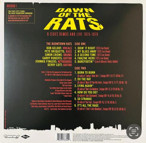 Виниловая пластинка The Boomtown Rats - Dawn Of The Rats: Demos, B-Sides And Live 1975-1979 (Green Vinyl LP)