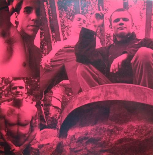 Виниловая пластинка WM Red Hot Chili Peppers Blood Sugar Sex Magik (180 Gram/Remastered)