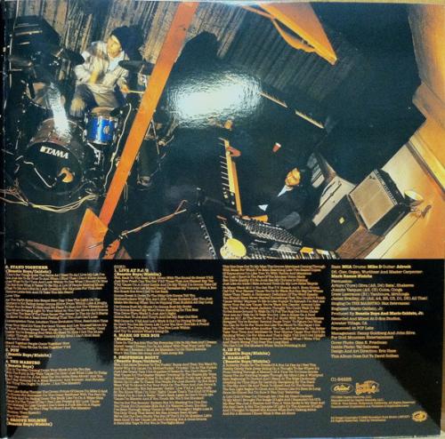 Виниловая пластинка Beastie Boys, The, Check Your Head