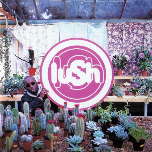 Виниловая пластинка Lush - Lovelife (Limited Clear Vinyl LP)