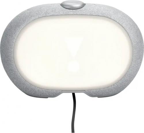 Портативная акустика JBL Horizon 3 Grey