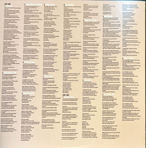 Виниловая пластинка Suzanne Vega - Songs Of Family (Black Vinyl LP)