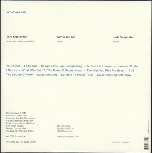 Виниловая пластинка Tord Gustavsen TORD GUSTAVSEN: WHAT WAS SAID