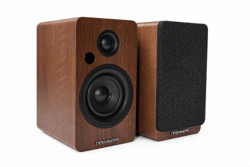Многофункциональная активная акустическая система PREMIERA RS-301A WN