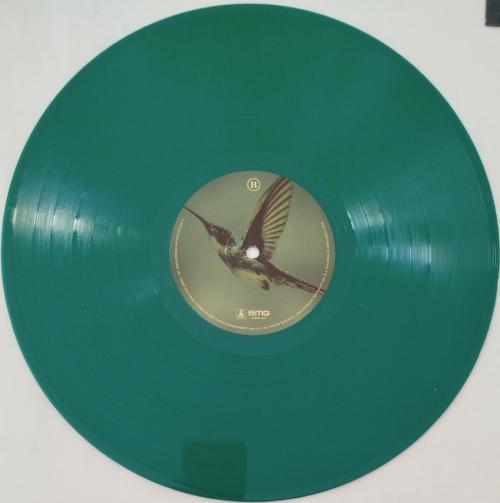 Виниловая пластинка Jennifer Lopez - This Is Me...Now (Spring Green & Black Vinyl LP, Exclusive Cover Art)