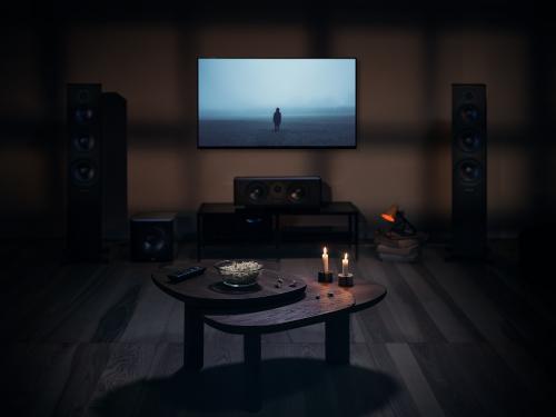 Напольная акустика Dynaudio Emit 50 walnut
