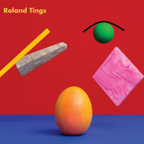Виниловая пластинка Roland Tings - Roland Tings (Black Vinyl 2LP)