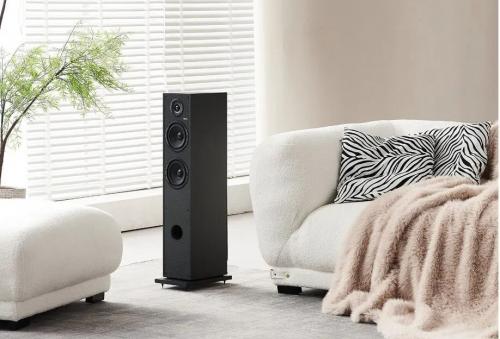 Напольная акустика Elipson HORUS 11F Black-Carbon