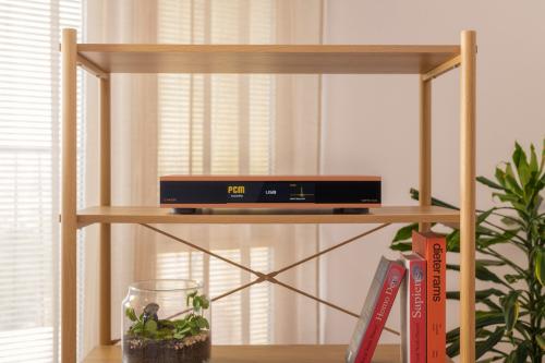 ЦАП Canor Audio Verto D4S Bronze