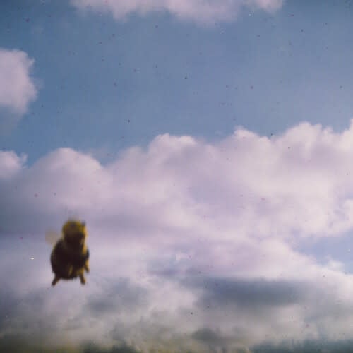 Виниловая пластинка Pond -  Stung! (Limited Splatter Bee Vinyl 2LP)