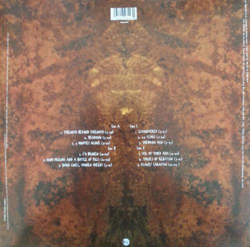 Виниловая пластинка Pantera FAR BEYOND DRIVEN (20TH ANNIVERSARY EDITION)