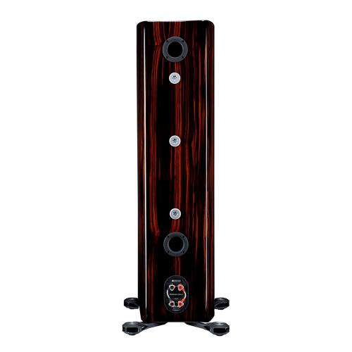 Напольная акустика Monitor Audio Platinum 300 (3G) Piano Ebony