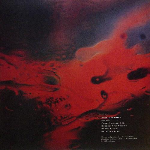 Виниловая пластинка Cocteau Twins - Tiny Dynamine/ Echoes In A Shallow Bay (Black Vinyl LP)