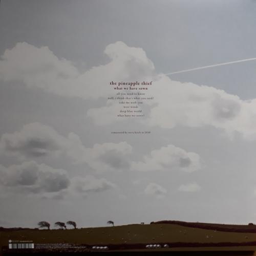 Виниловая пластинка The Pineapple Thief - What We Have Sown (Black Vinyl 2LP)