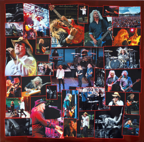 Виниловая пластинка Molly Hatchet - Battleground (Black Vinyl 3LP)