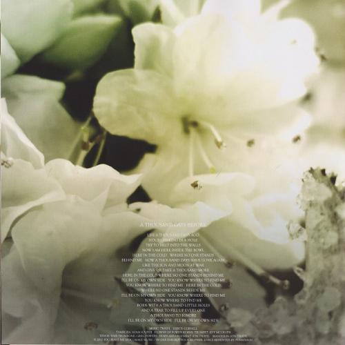 Виниловая пластинка Soundgarden, King Animal