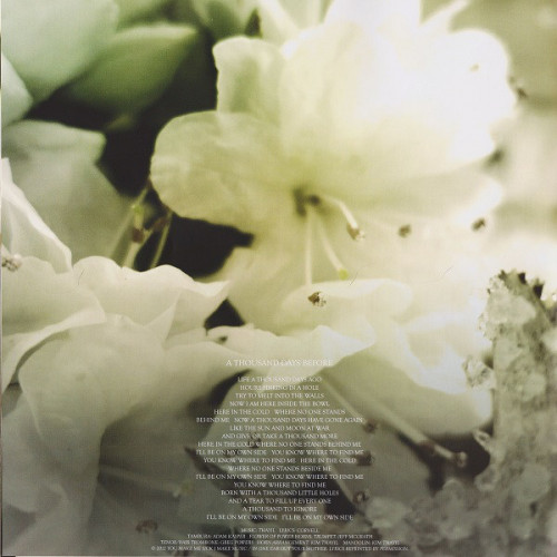 Виниловая пластинка Soundgarden, King Animal