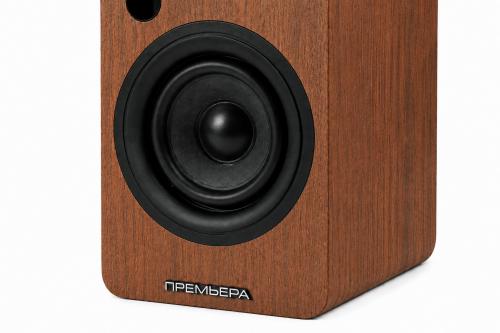 Многофункциональная активная акустическая система PREMIERA RS-301A WN