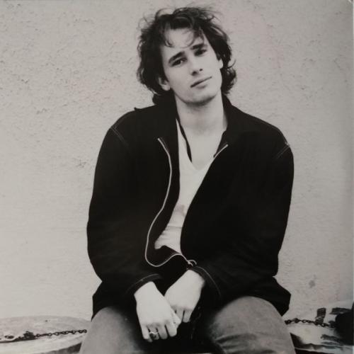 Виниловая пластинка Sony Jeff  Buckley You & I (180 Gram/Gatefold)