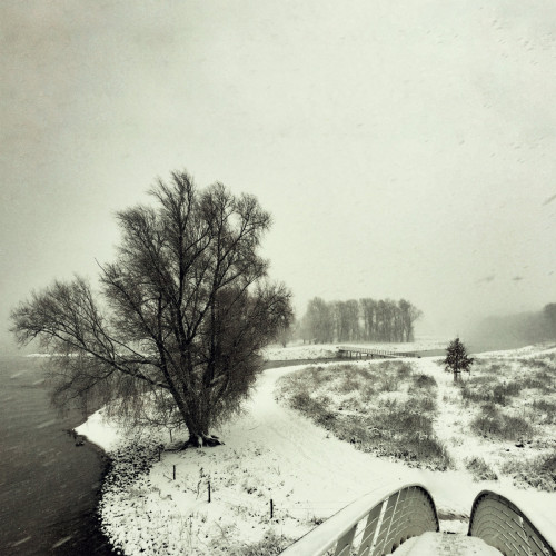 Виниловая пластинка Beequeen - Winter (Black Vinyl LP)