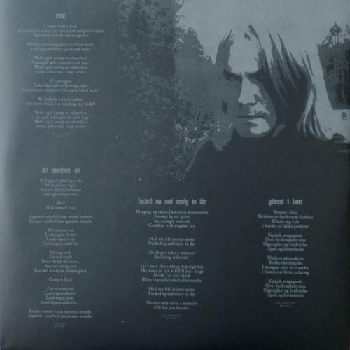 Виниловая пластинка Darkthrone - Hate Them (Black Vinyl LP)