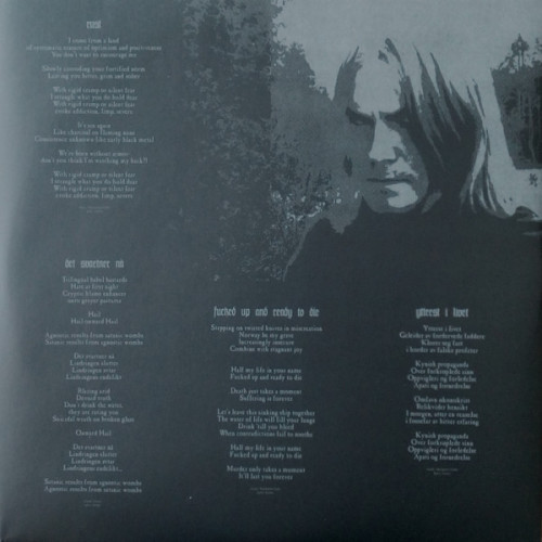 Виниловая пластинка Darkthrone - Hate Them (Black Vinyl LP)