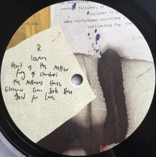 Виниловая пластинка The Libertines, Anthems For Doomed Youth (Standalone Vinyl)