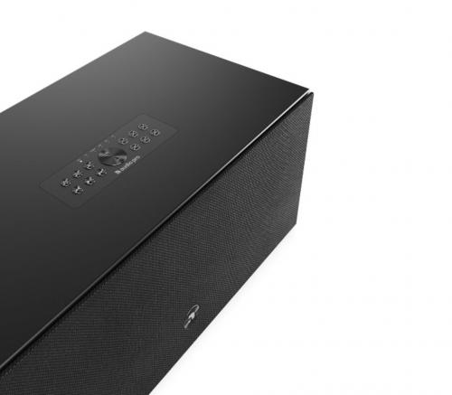 Портативная акустика Audio Pro C20 W Black
