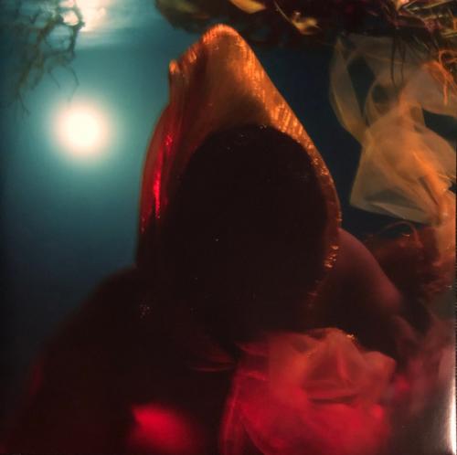 Виниловая пластинка Flying Lotus - Until The Quiet Comes (Black Vinyl 2LP)