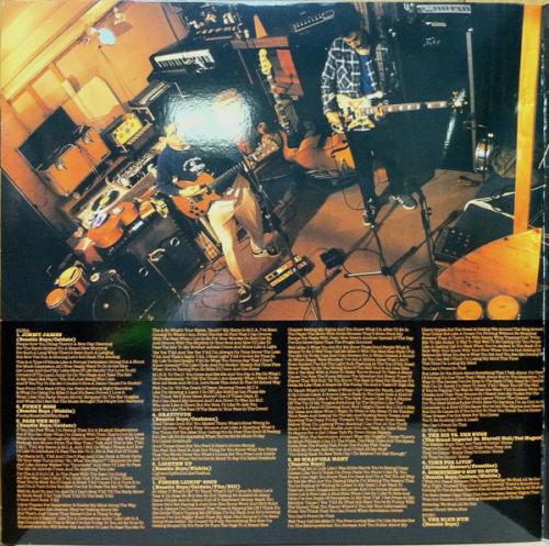 Виниловая пластинка Beastie Boys, The, Check Your Head