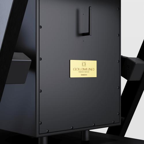 Напольная акустика Goldmund Samadhi Black