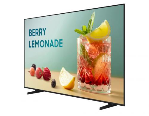 Коммерческий телевизор Samsung BE55FX-H