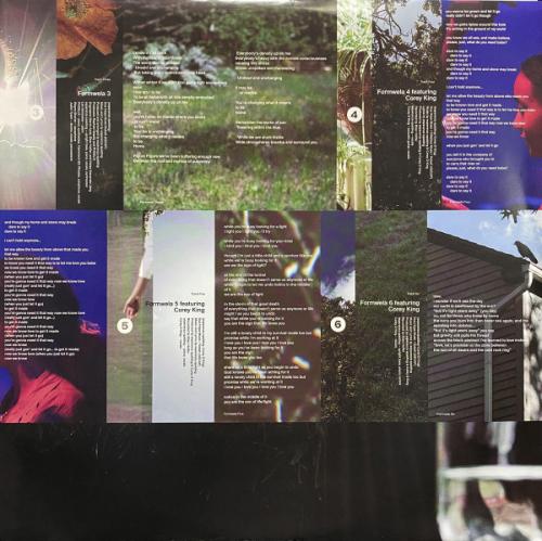 Виниловая пластинка Esperanza Spalding - Songwrights Apothecary Lab (Black Vinyl 2LP)