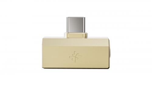 Усилитель для наушников FiiO SNOWSKY TINY A (F3108K) Vintage Gold