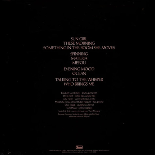 Виниловая пластинка Julia Holter -  Something In The Room She Moves (Limited Red Vinyl 2LP)