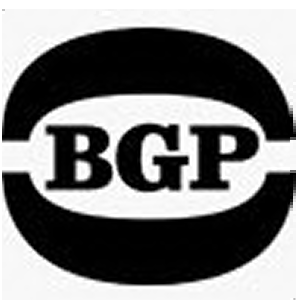 BGP Records