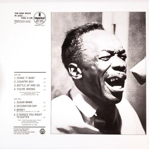 Виниловая пластинка John Lee  Hooker - It Serve You Right To Suffer (Analogue) (Black Vinyl 2LP)