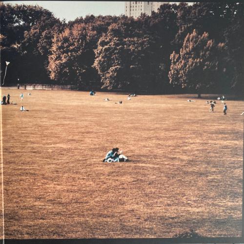 Виниловая пластинка Mercury Rev - The Light In You (Coloured Vinyl LP)