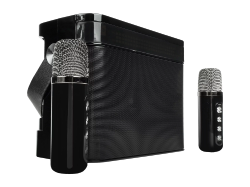 Переносная караоке система Iconbit K902B