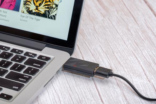 Адаптер iFi Audio iSilencer 3.0 Type A-Type A