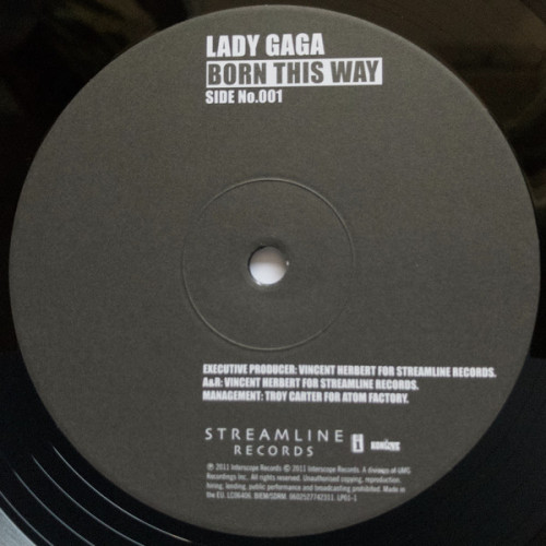 Виниловая пластинка Lady Gaga, Born This Way