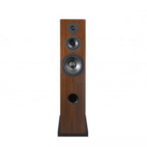 Напольная акустика Davis Acoustics Courbet 8 Walnut