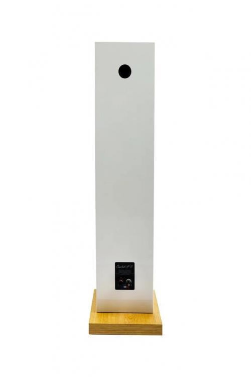 Напольная акустика Davis Acoustics Courbet 8 White Gloss
