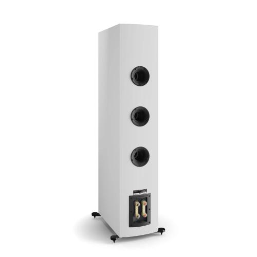 Напольная акустика Dali Rubikore 8 White High Gloss Lacquer