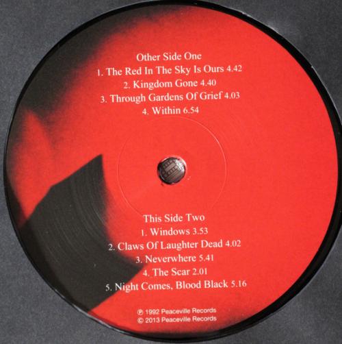 Виниловая пластинка At The Gates - The Red In The Sky Is Ours (Black Vinyl LP)