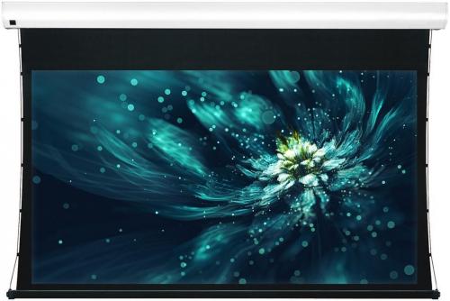 Экран Viewscreen Premium 16:9 120" 265*149 White Casing
